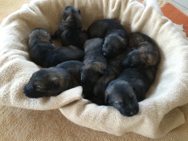 Im Alter von 10 Tagen