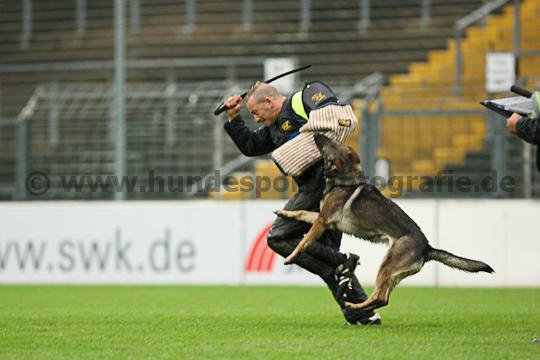 Anja beim Schutzdienst