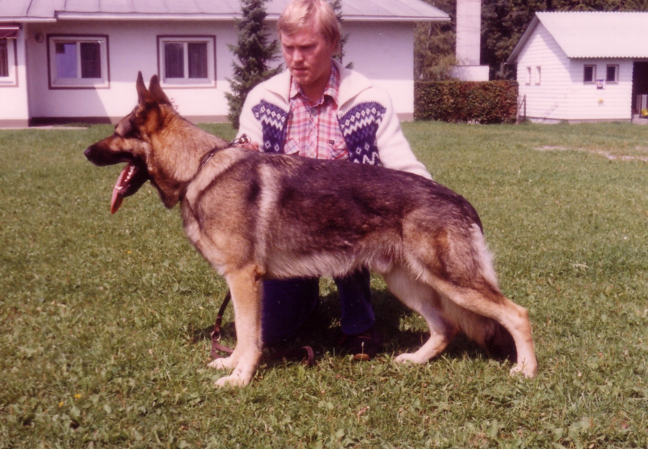 Cherry von der Eisquelle